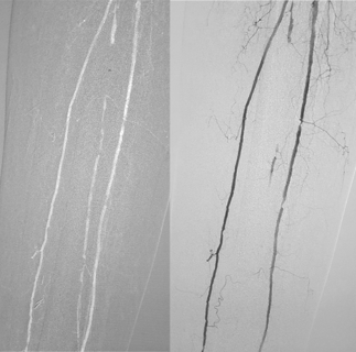 France, Paris, Hopital Européen Georges Pompidou431 France, Paris, Hopital Européen Georges Pompidou431