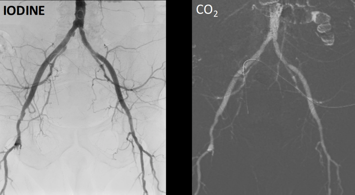 Screenshot 2026-02-12 151000