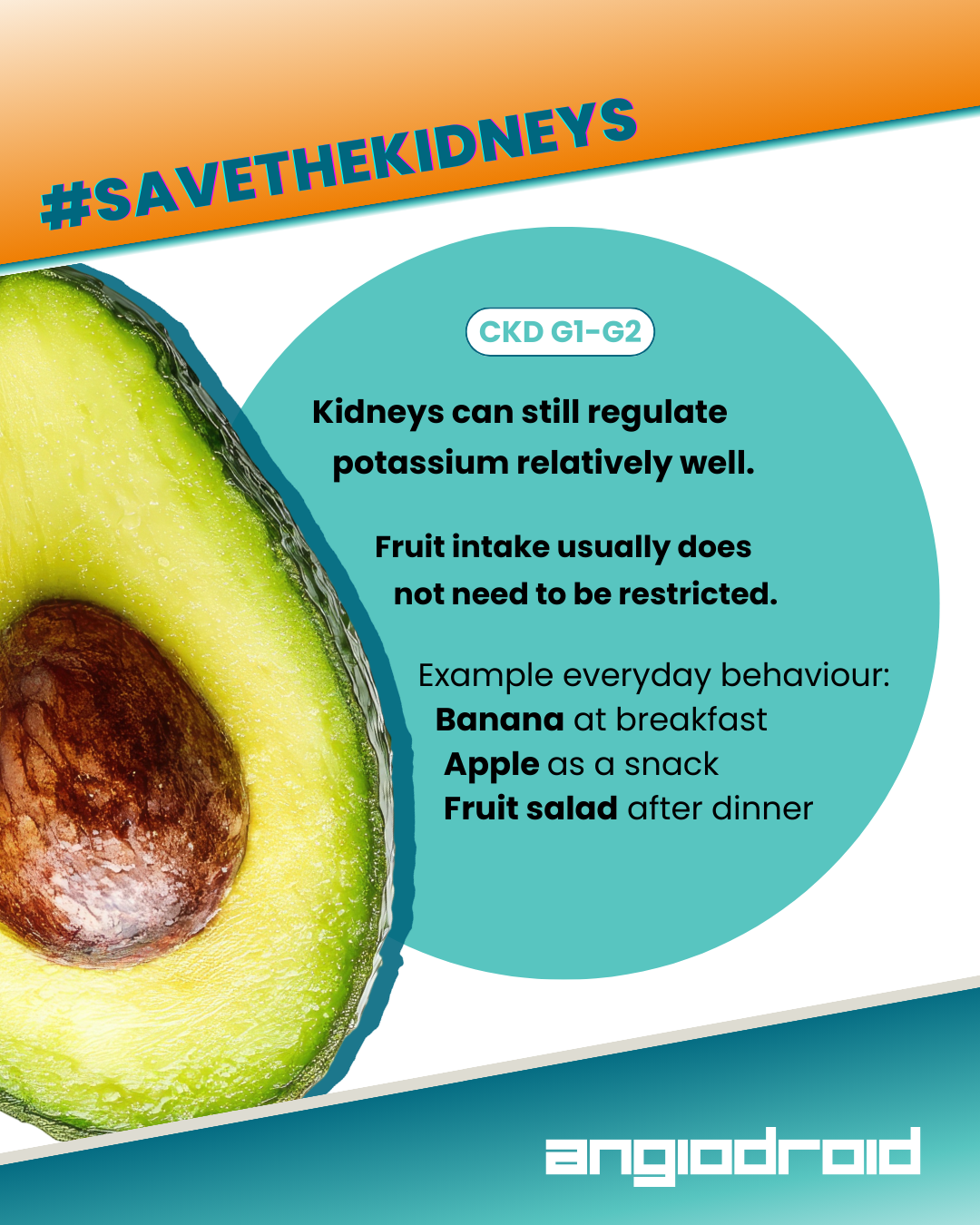 2-Mar-12-2026-04-10-44-2906-PM 2-Mar-12-2026-04-10-44-2906-PM