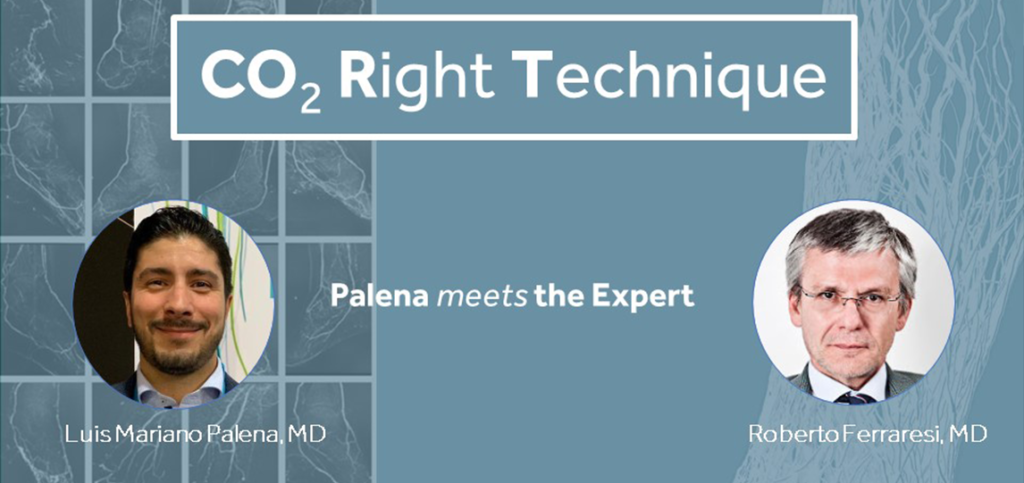 CO2RT – Virtual Round Table #1 - Palena meets the Experts