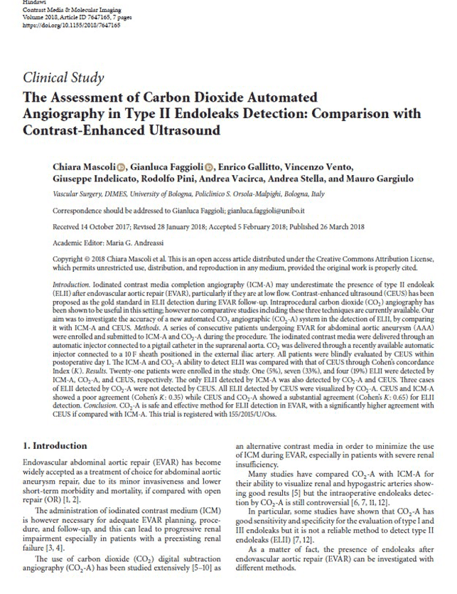The Assessment of CO2 Automated Angiography in Type II Endoleaks Detection