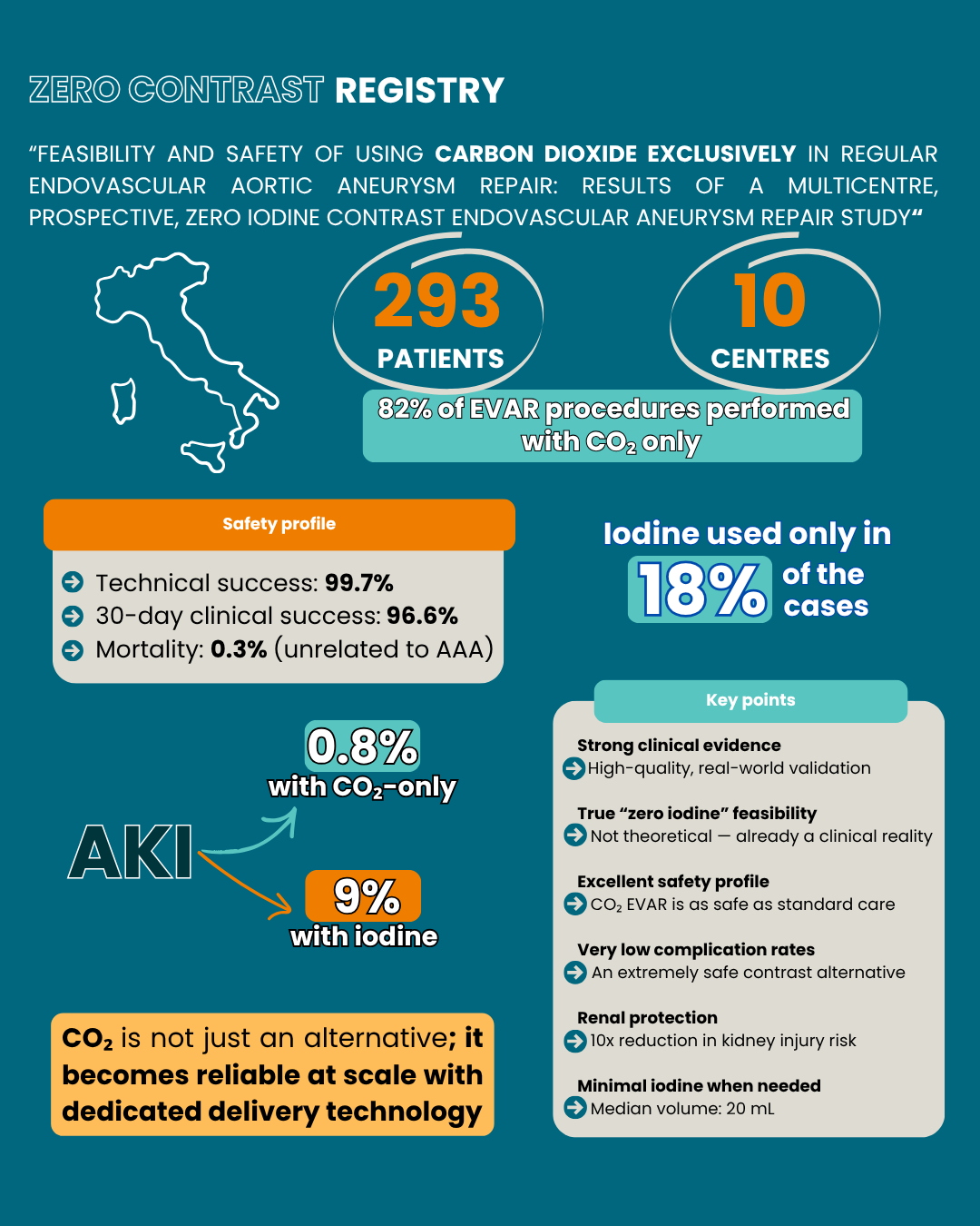 Feasibility and safety of using CO2 exclusively in EVAR