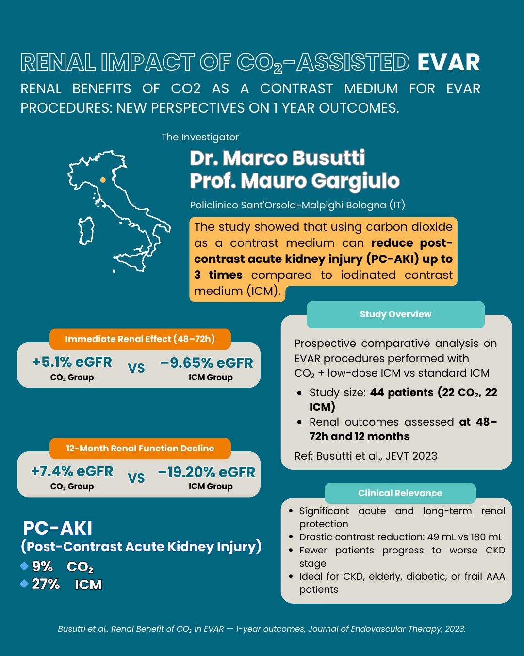 Renal Benefits of CO2 as a Contrast Media for EVAR Procedures