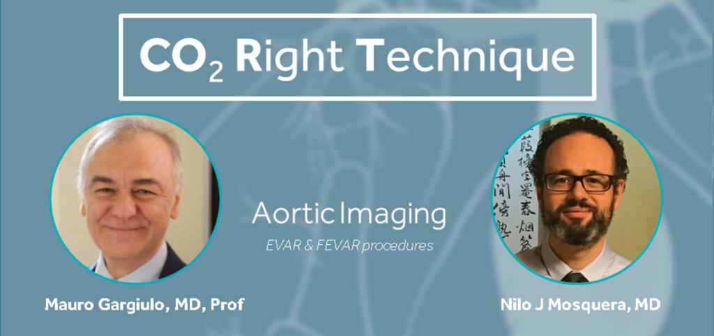 CO2RT – Virtual Round Table #3 - Aortic Imaging